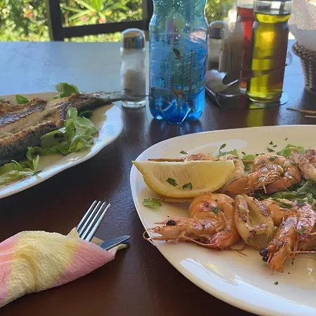 Alba-gert 3* オリクム