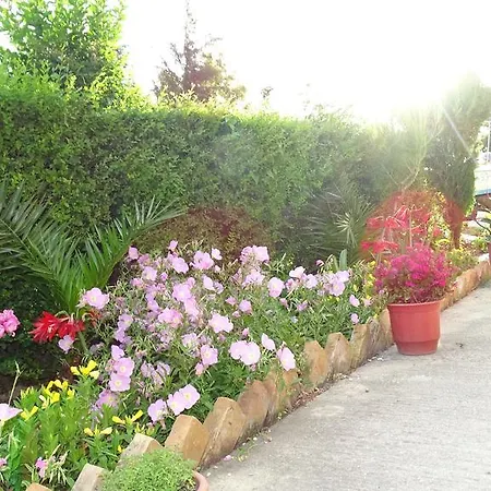 Hotel Alba-gert 3*