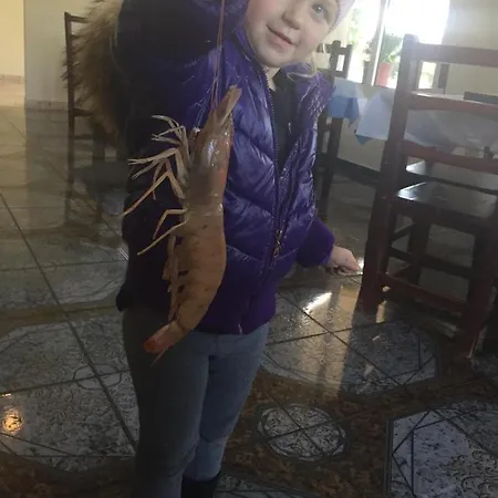 Alba-gert オリクム