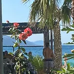 Hotel Alba-gert