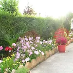 Hotel Alba-gert 3*