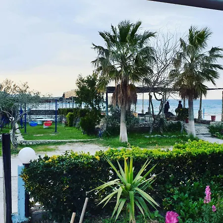 Otel Alba-gert
