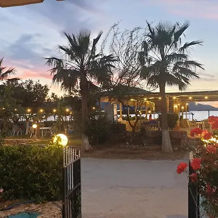 Alba-gert 3*